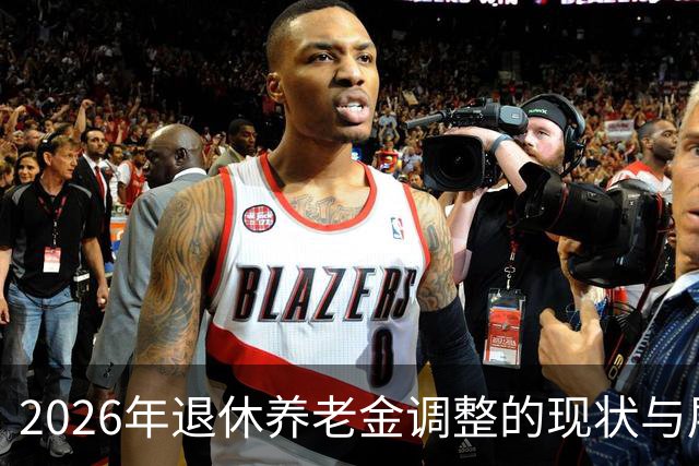 2026年退休养老金调整的现状与展望